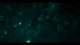 Nautilus 2024 S01E06 720p HEVC x265-MeGusta EZTV