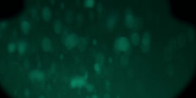 Nautilus S01E06 The Big Blue 1080p AMZN WEB-DL DD 5 1 H 264-playWEB EZTV