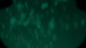 Nautilus S01E06 The Big Blue XviD-AFG EZTV