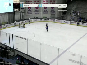 NCAA Hockey 2024 01 26 Alaska Fairbanks vs Long Island University 480p x264-mSD EZTV