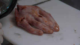 NCIS S14E24 Rendezvous 1080p AMZN WEB-DL DDP5 1 H 264-NTb EZTV