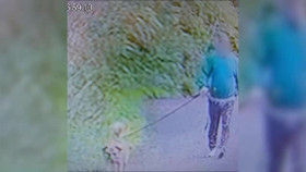 Neighborhood Wars S01E03 XviD-AFG EZTV