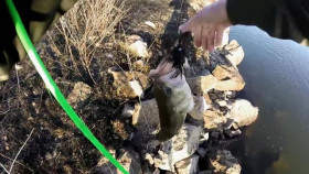 Neighborhood Wars S06E06 XviD-AFG EZTV