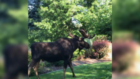 Neighborhood Wars S06E20 1080p WEB h264-EDITH EZTV