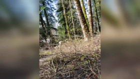 Neighborhood Wars S06E22 1080p HEVC x265-MeGusta EZTV