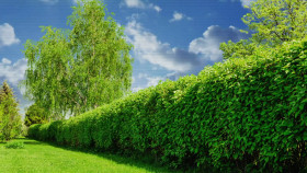 Neighborhood Wars S07E03 1080p HEVC x265-MeGusta EZTV