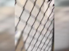 Neighborhood Wars S07E03 480p x264-mSD EZTV