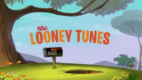 New Looney Tunes S01E37 XviD-AFG EZTV