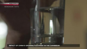 Newsroom Tokyo 2024 05 28 XviD-AFG EZTV