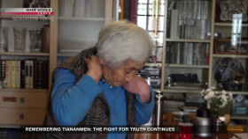 Newsroom Tokyo 2024 06 04 1080p HDTV H264-DARKFLiX EZTV