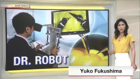 Newsroom Tokyo 2024 06 10 1080p HDTV H264-DARKFLiX EZTV