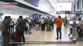 Newsroom Tokyo 2024 06 28 XviD-AFG EZTV