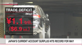 Newsroom Tokyo 2024 07 09 1080p HDTV H264-DARKFLiX EZTV