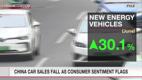 Newsroom Tokyo 2024 07 11 1080p HDTV H264-DARKFLiX EZTV