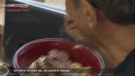 Newsroom Tokyo 2024 07 24 1080p HDTV H264-DARKFLiX EZTV