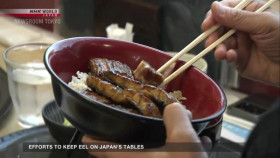 Newsroom Tokyo 2024 07 24 XviD-AFG EZTV