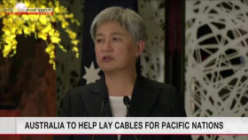 Newsroom Tokyo 2024 07 29 XviD-AFG EZTV