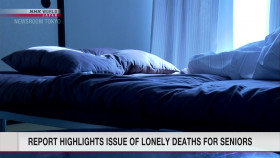 Newsroom Tokyo 2024 08 30 1080p HDTV H264-DARKFLiX EZTV