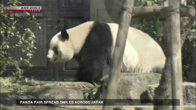 Newsroom Tokyo 2024 09 27 1080p HDTV H264-DARKFLiX EZTV