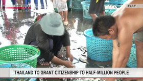 Newsroom Tokyo 2024 10 31 1080p HDTV H264-DARKFLiX EZTV