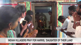 Newsroom Tokyo 2024 11 05 1080p HDTV H264-DARKFLiX EZTV