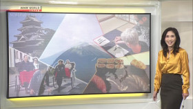 Newsroom Tokyo 2024 11 20 1080p HDTV H264-DARKFLiX EZTV