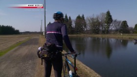NHK Cycle Around Japan Akita Discovering the Traditions of the North 720p HDTV x264 AAC mkv EZTV