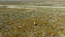 Nick Knowles In South America S01E01 1080p WEB H264-CBFM EZTV