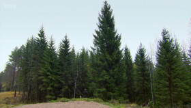 Nigel Slaters 12 Tastes of Christmas S01E01 1080p WEBRip x264-CBFM EZTV