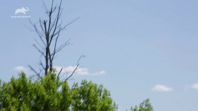 North Woods Law S15E00 Glen vs Wild 720p HDTV x264-SUiCiDAL EZTV