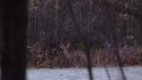 North Woods Law S15E11 Cat and Mouse 720p HEVC x265-MeGusta EZTV