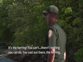 North Woods Law S16E08 480p x264-mSD EZTV