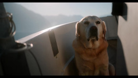 Nos Amis Les Chiens S01E03 MULTi 1080p WEB H264-NETFLIX EZTV