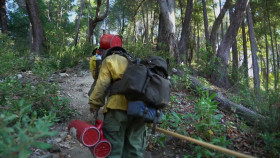 NOVA S50E05 Weathering the Future 1080p WEB h264-BAE EZTV