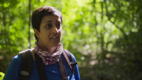 NOVA S50E15 Ancient Earth Humans 720p HEVC x265-MeGusta EZTV