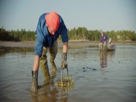 NOVA S51E00 Sea Change Bounty in the Gulf of Maine 480p x264-mSD EZTV