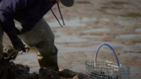 NOVA S51E00 Sea Change Bounty in the Gulf of Maine 720p HEVC x265-MeGusta EZTV