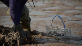 NOVA S51E00 Sea Change Bounty in the Gulf of Maine XviD-AFG EZTV