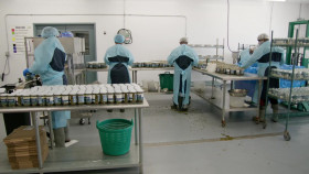 NOVA S51E00 Sea Change Survival in the Gulf of Maine 1080p WEBRip x264-BAE EZTV