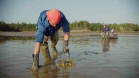 NOVA S51E09 Sea Change Bounty in the Gulf of Maine 480p x264-RUBiK EZTV