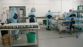 NOVA S51E11 Sea Change Survival in the Gulf of Maine 1080p x265-ELiTE EZTV