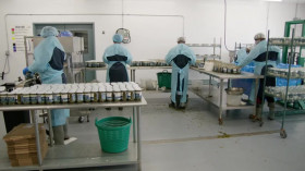 NOVA S51E11 Sea Change Survival in the Gulf of Maine 480p x264-RUBiK EZTV