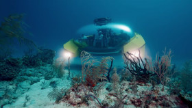 NOVA S51E16 Building Stuff Reach It 720p HEVC x265-MeGusta EZTV