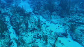 NOVA S51E16 Building Stuff Reach It XviD-AFG EZTV