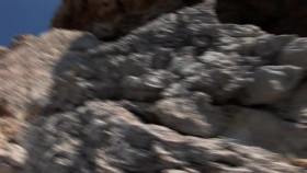 Ocean Stories S01E01 XviD-AFG EZTV