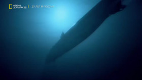 Ocean Wreck Investigation S01E01 1080p HEVC x265-MeGusta EZTV