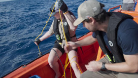 OceanXplorers S01E01 Realm of the Humpbacks 720p DSNP WEB-DL DD 5 1 H 264-playWEB EZTV