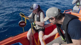 OceanXplorers S01E01 XviD-AFG EZTV