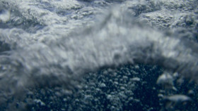 OceanXplorers S01E02 1080p WEB h264-EDITH EZTV