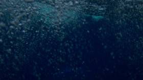 OceanXplorers S01E02 720p HEVC x265-MeGusta EZTV
